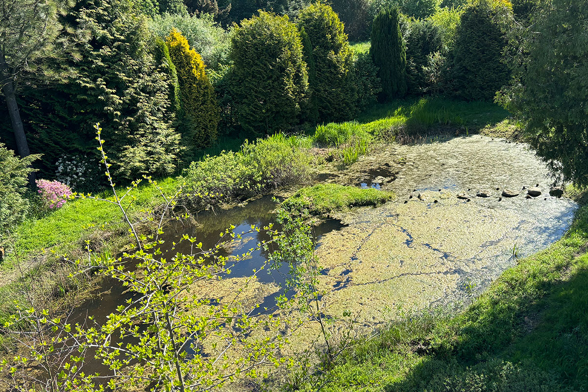 Dorthev Vandhul Ekstraimage00006