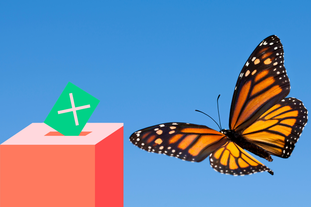 Folketingsvalg Natur Og GTP