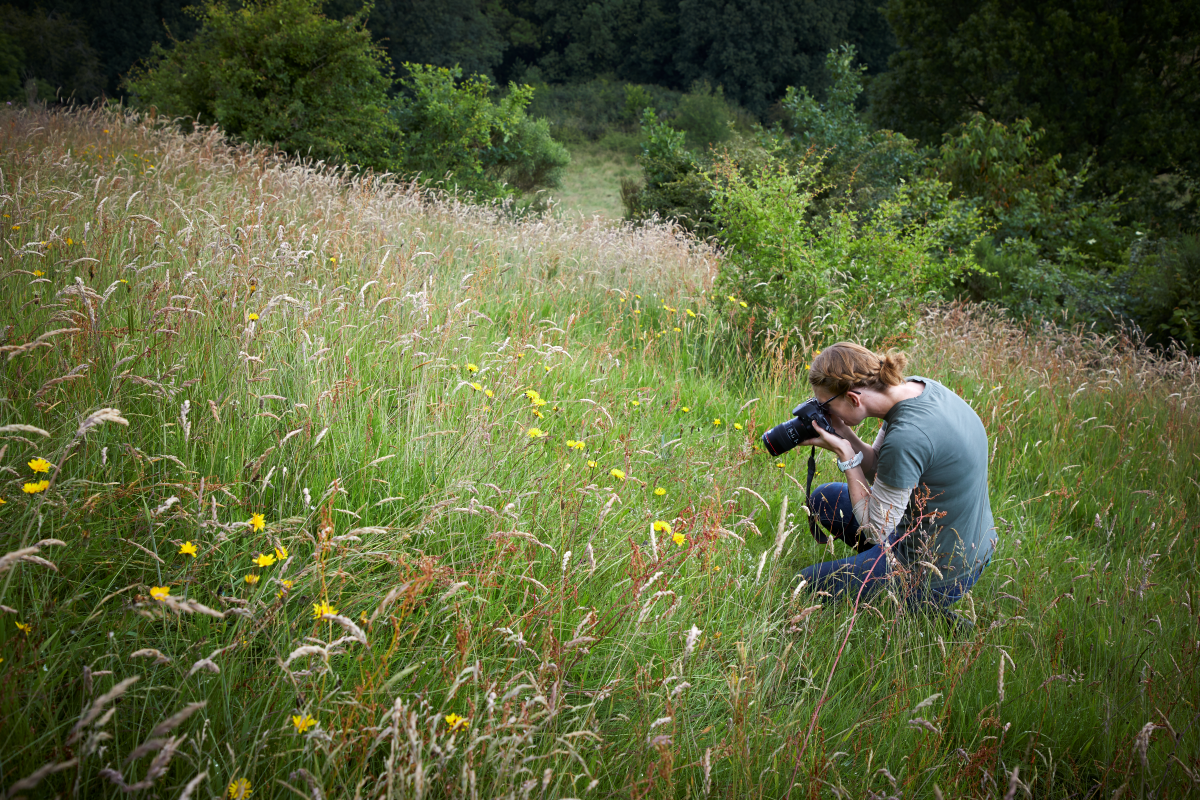 Naturforvaltning Vejle Ådal