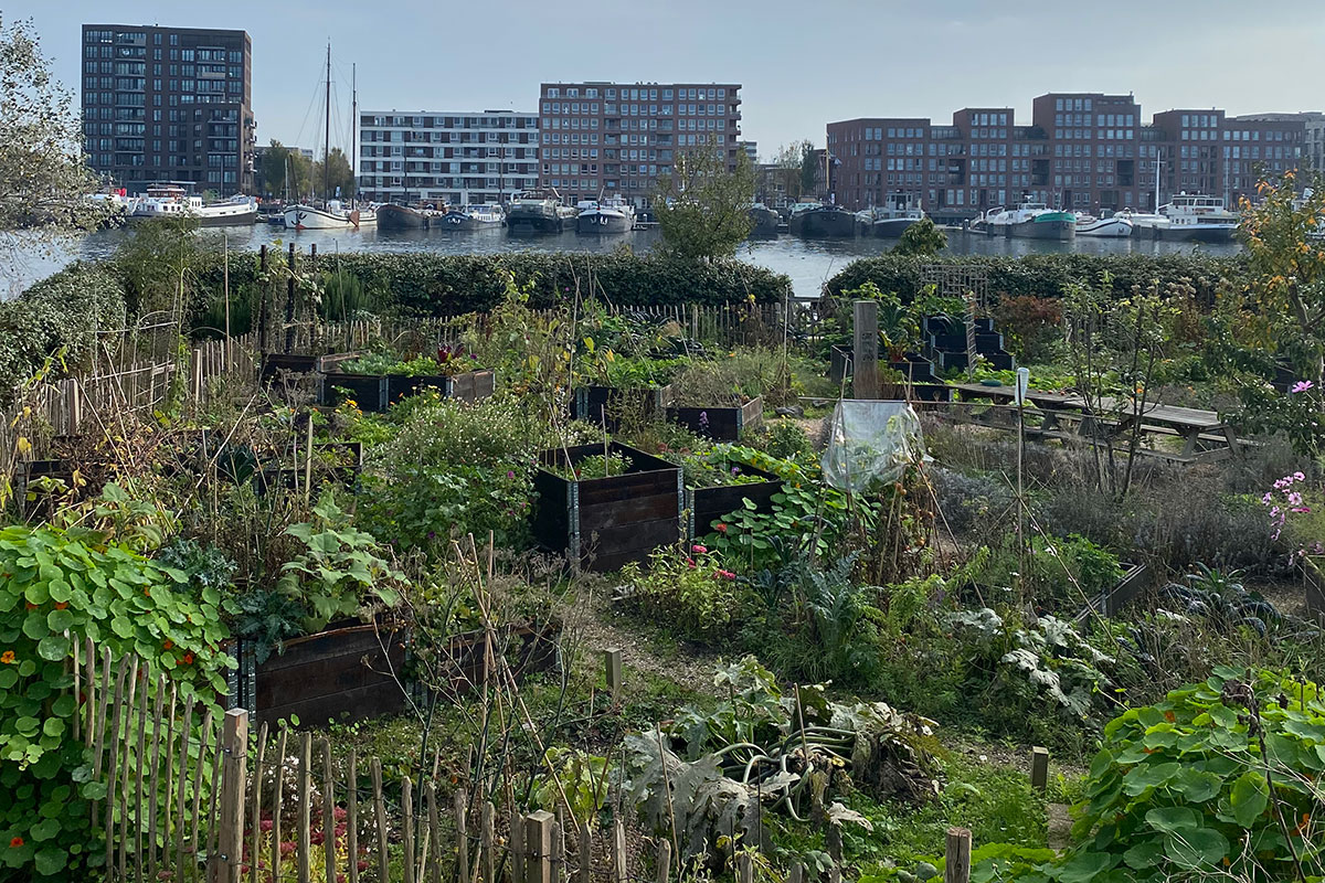 Haver Og Hoje Huse 12X8