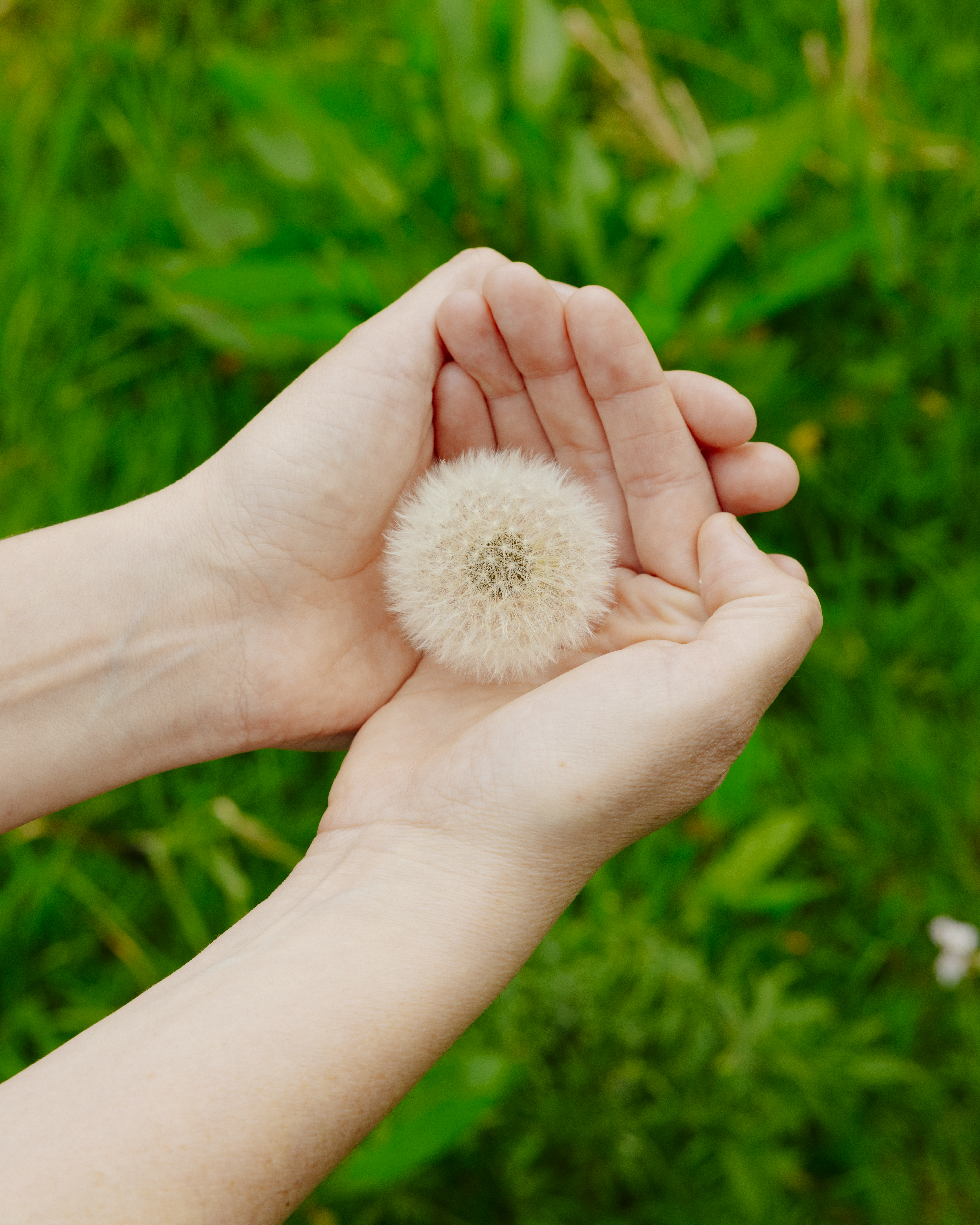 01 Katrine Turner Akademikerbladet Q7A3249