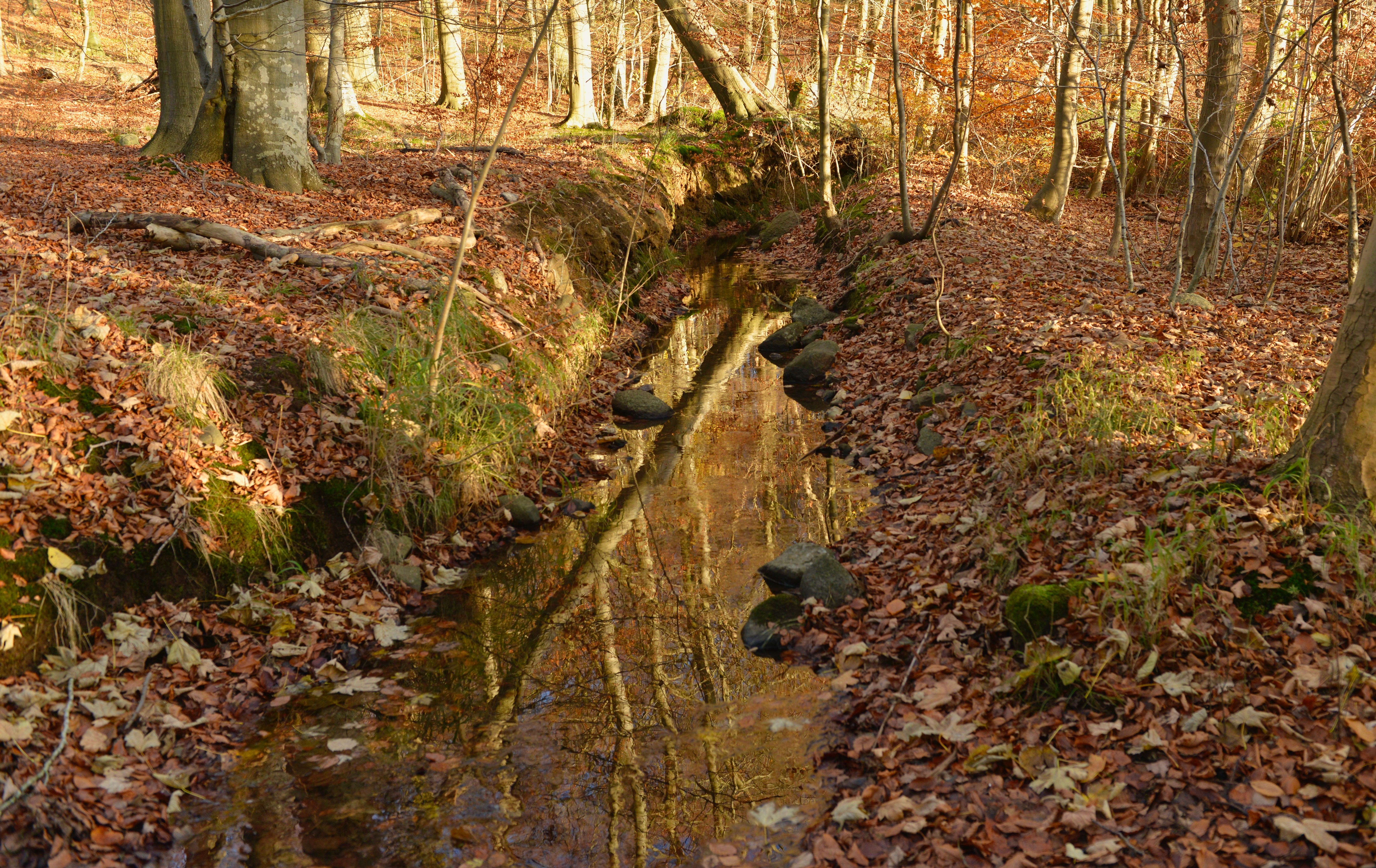 Lille Fulden Bæk Opstrøms