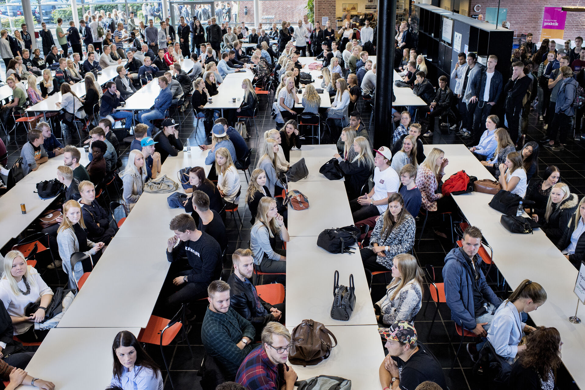 20140825 192546 Pf 1920X1277we