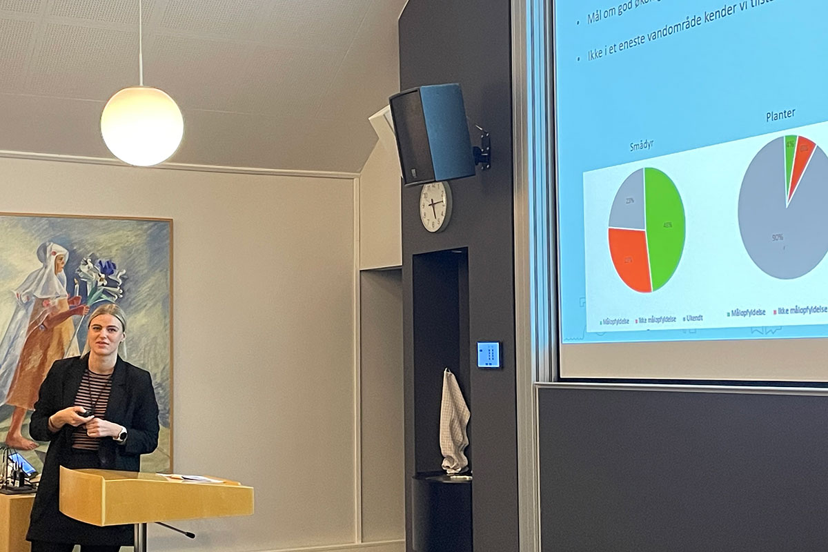 Anebruunmiddelbp Aarhus Kommune IMG 2260