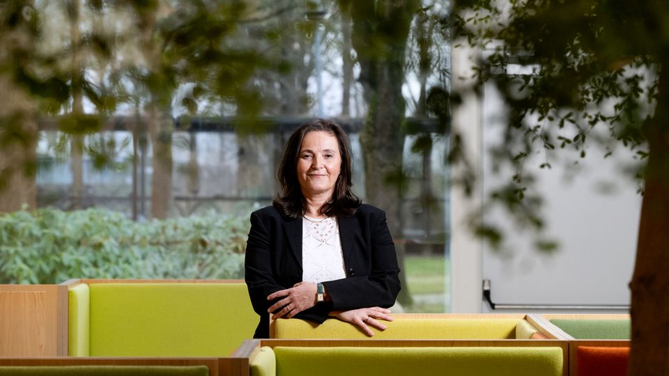 Camilla Rygaard Hjalsted