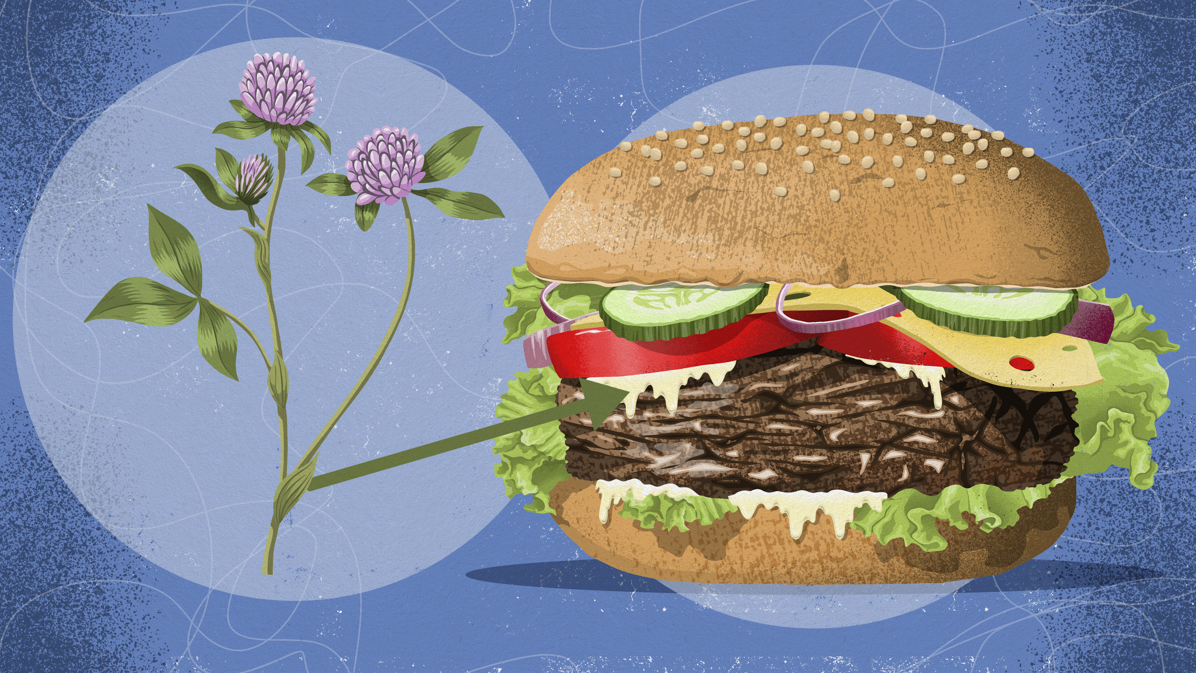 Kløvergræs fødevarer