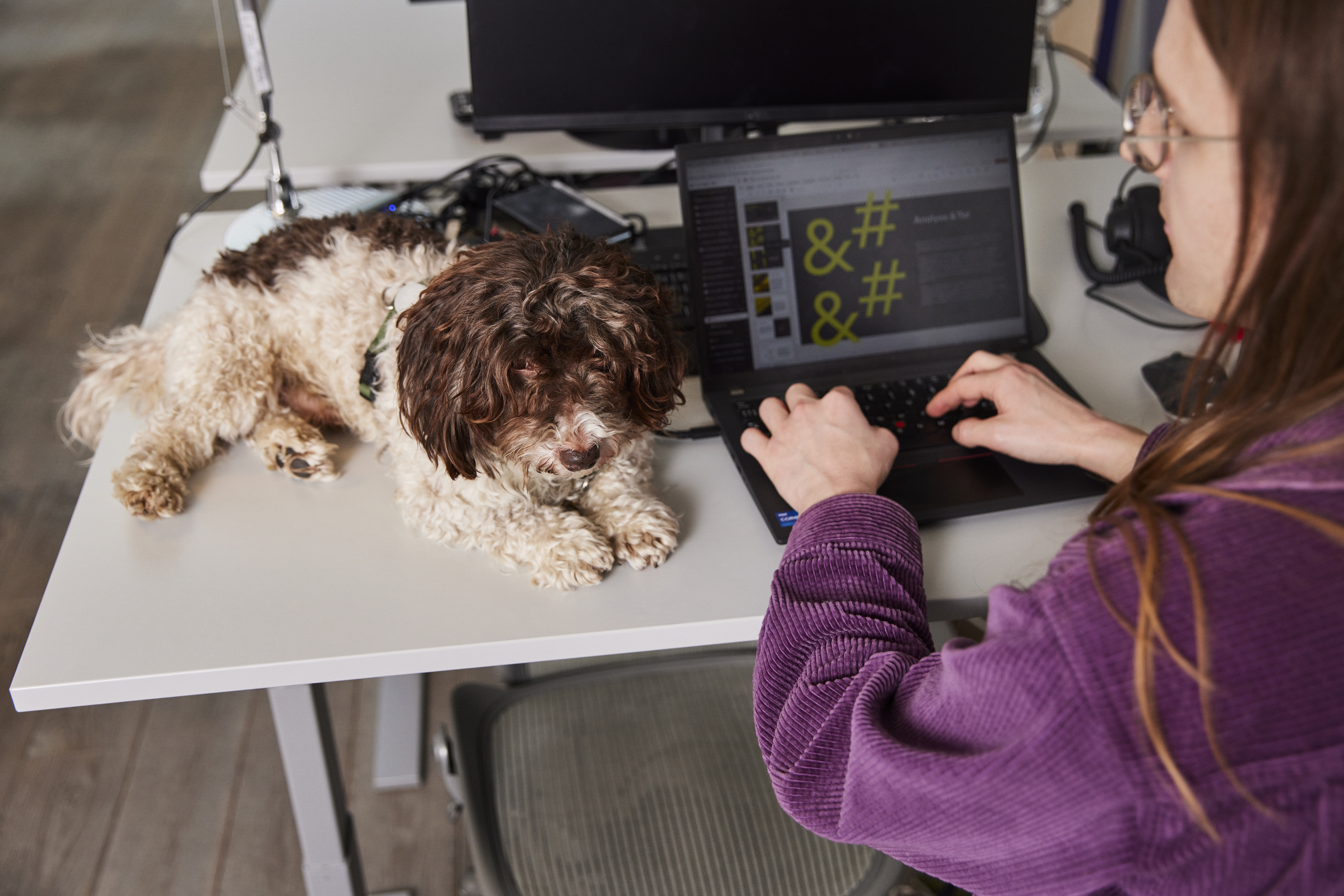Kontorhund Jens og Eddie 2