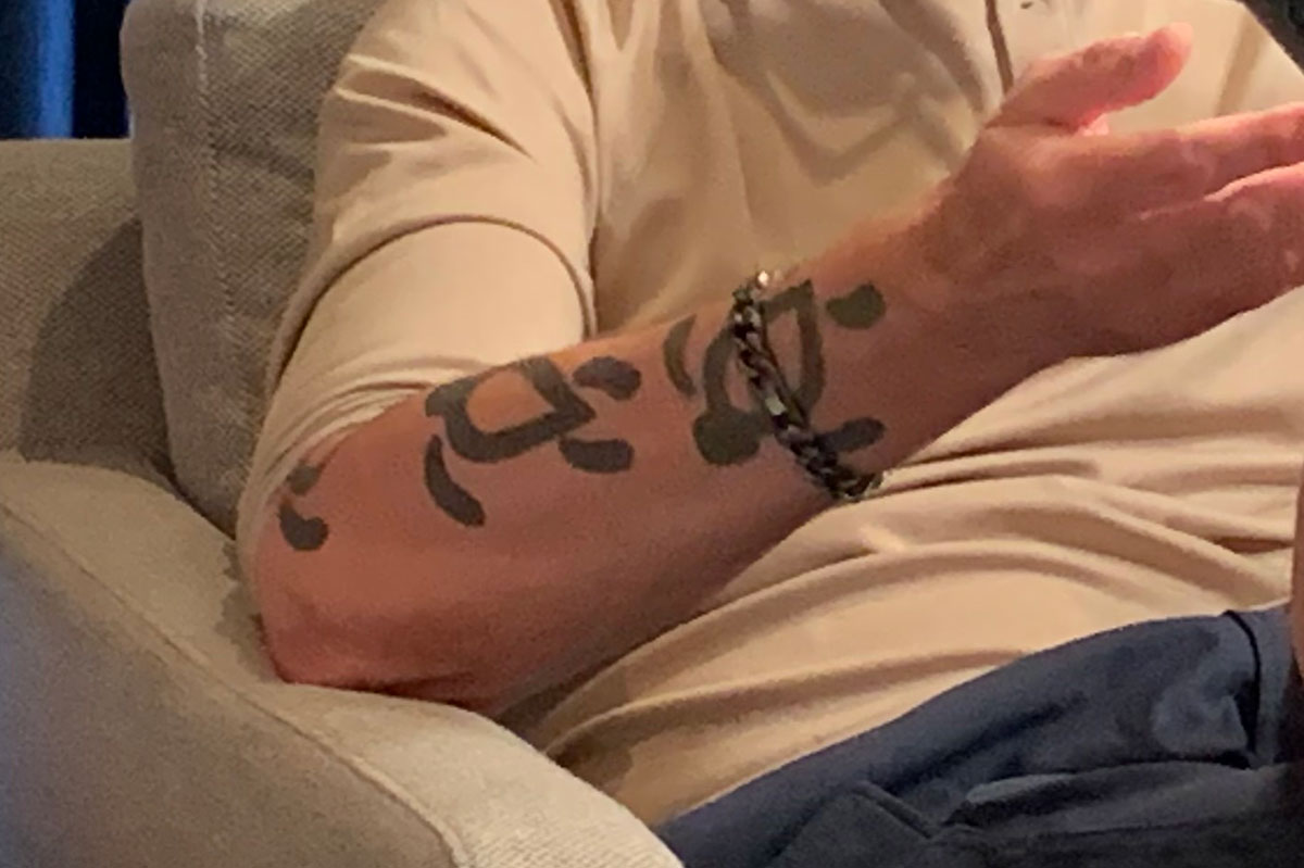 Gjerris Skildpadder Closeup 12X8