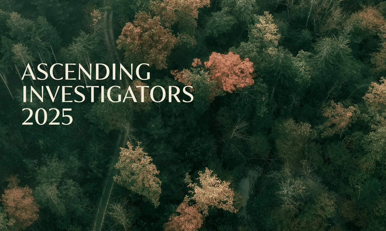 Ascending Investigators 2025