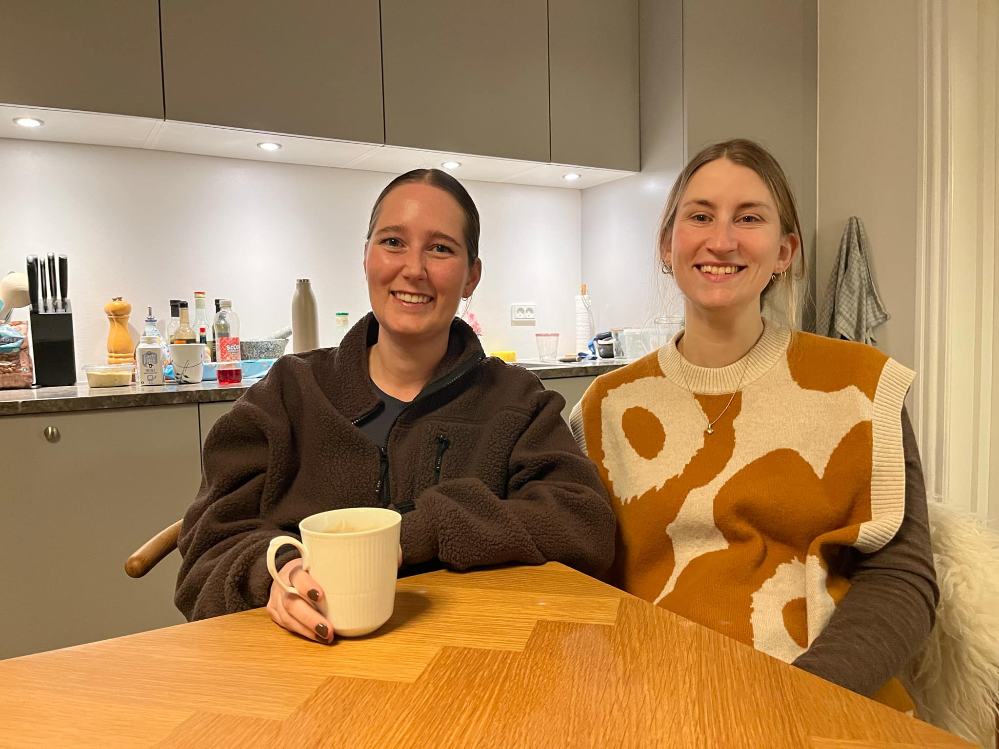 Tovholderekarrierekompasset