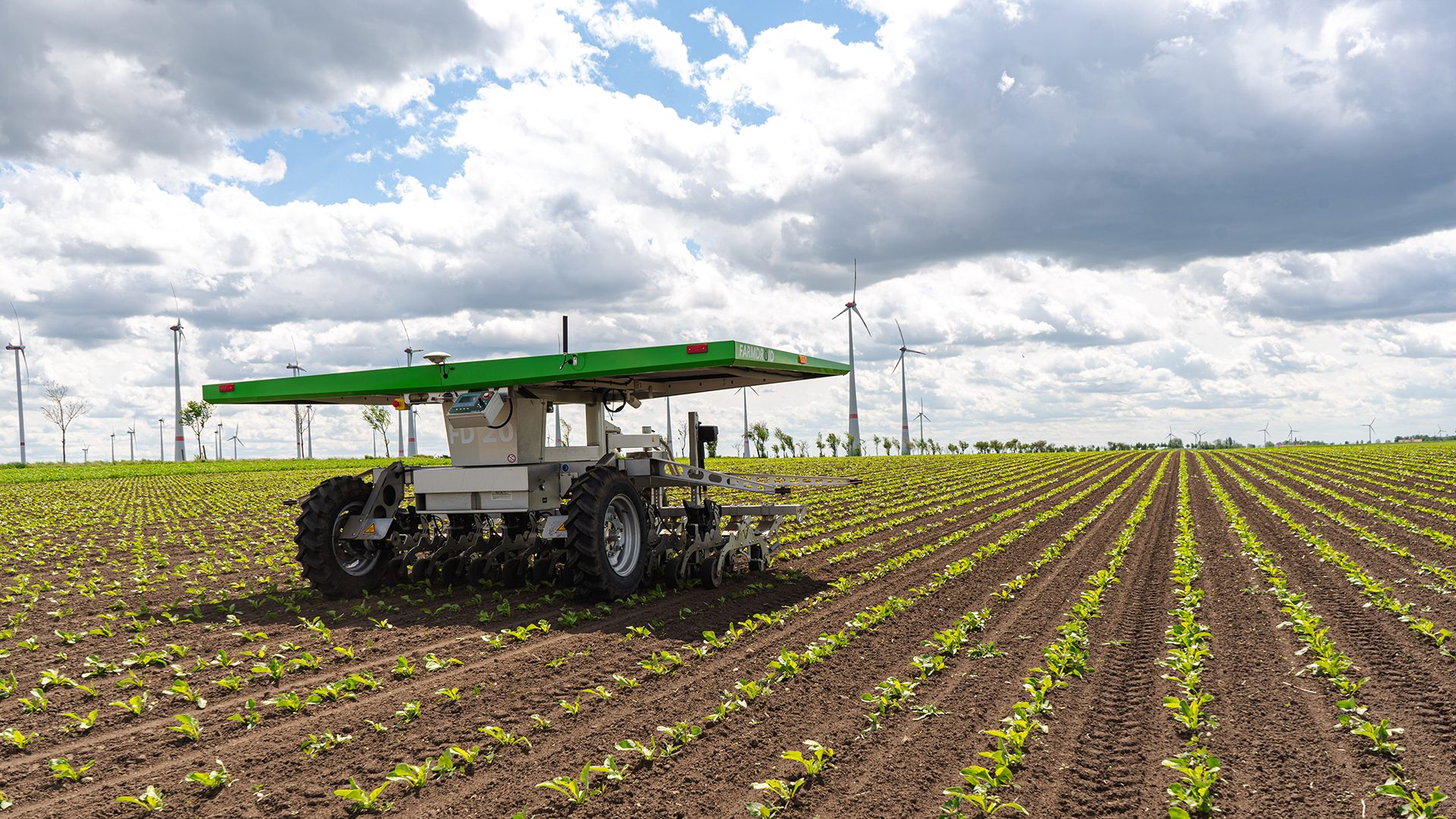 Farmdroid FD20 On A Sugar Beet Field With Wind Mills