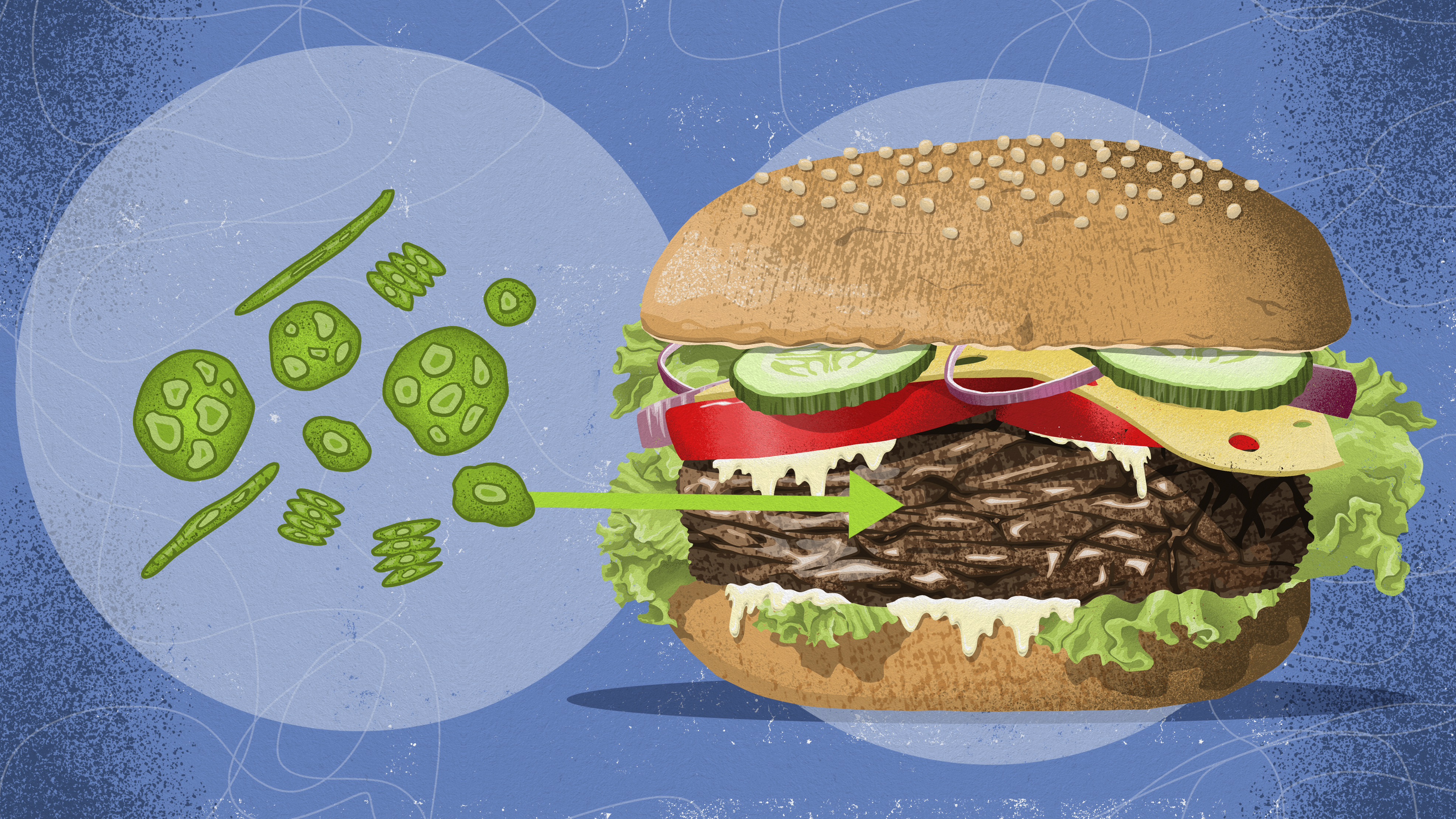 Mikroalger fødevarer